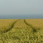 Klimaaftryk og ESGreen Tool - Mark